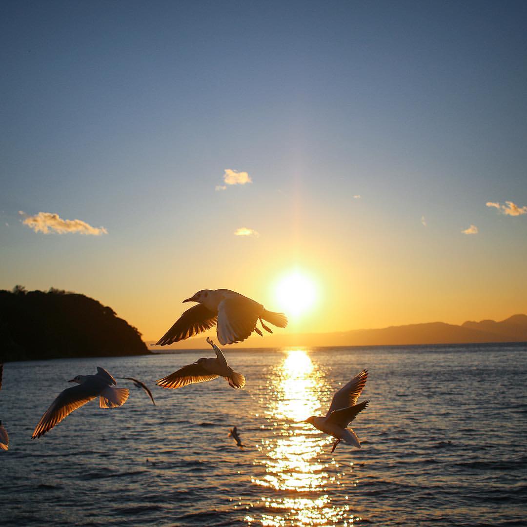 This is Enoshima w