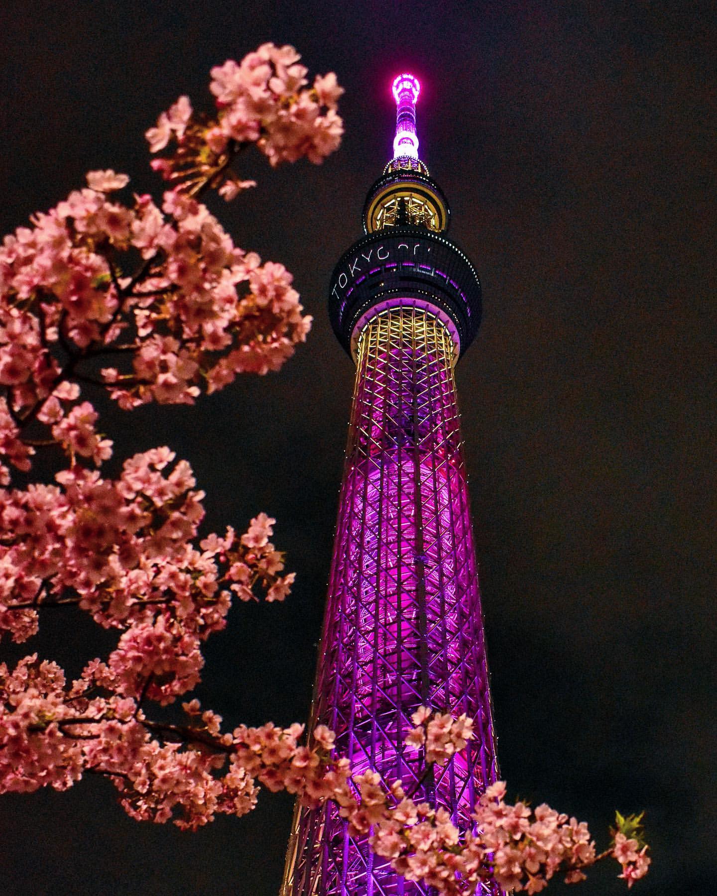 Tokyo Skytree and ch