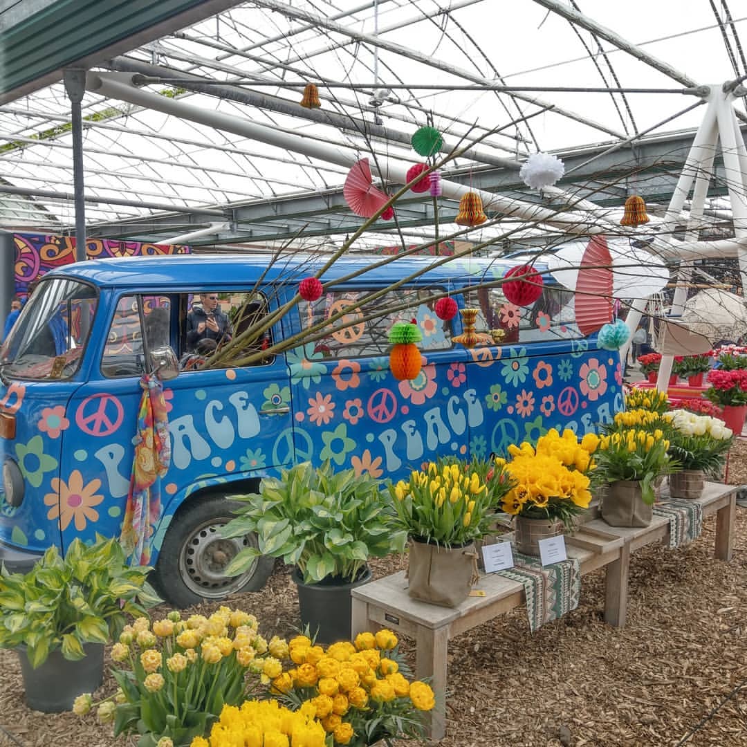 The flowerpower fl