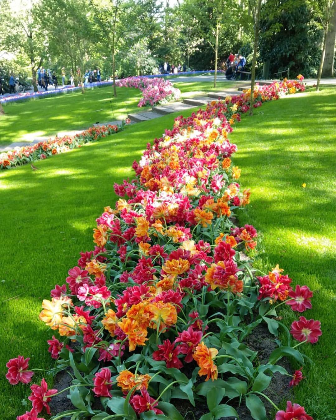 Lovely colours and a