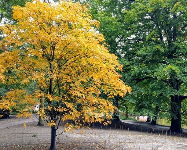 Autumn is taking ove
