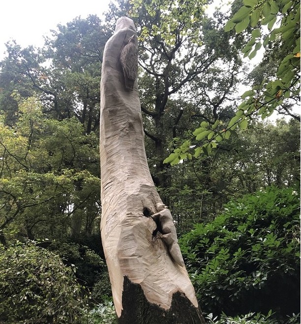 This tree was sick 