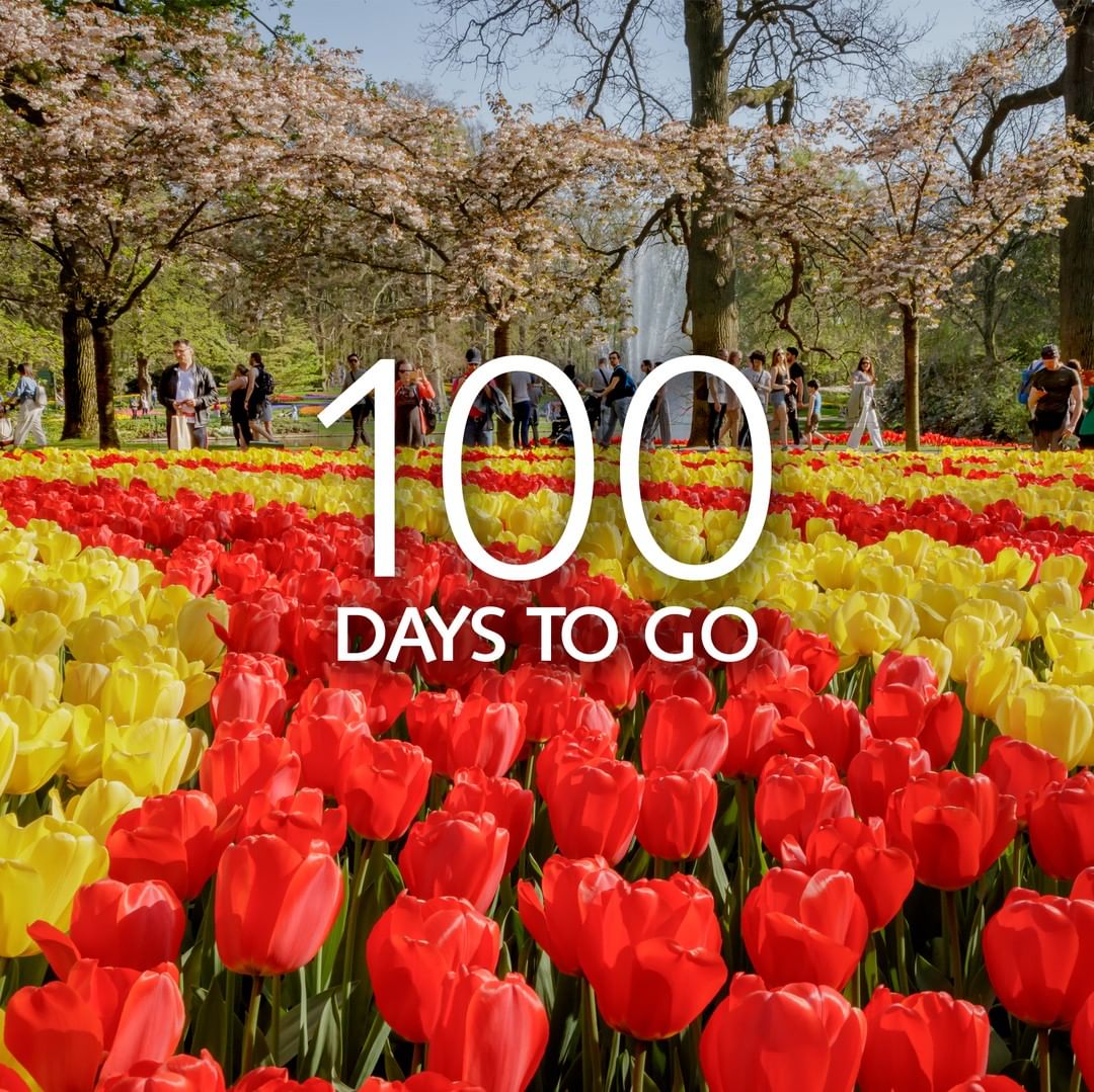100 days to go until
