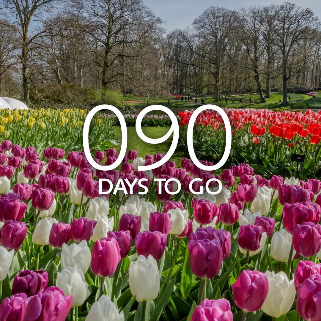 Were counting down 