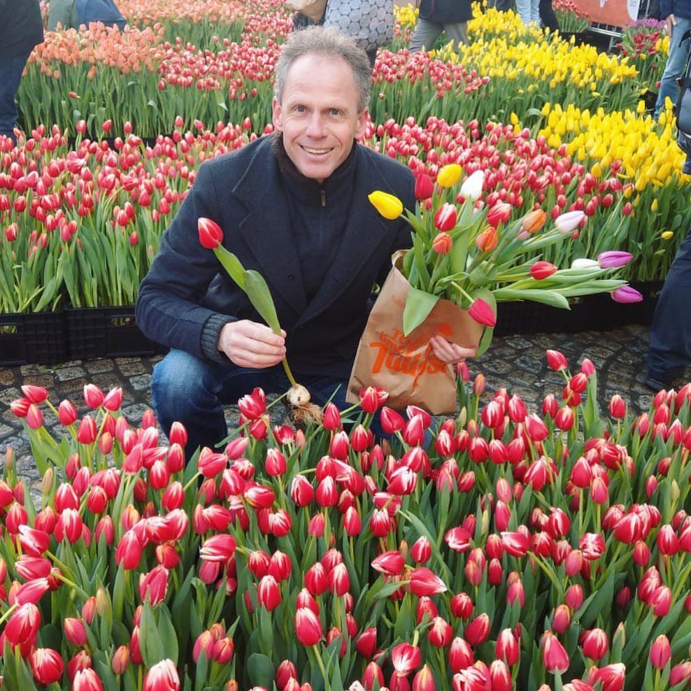 It is National Tulip