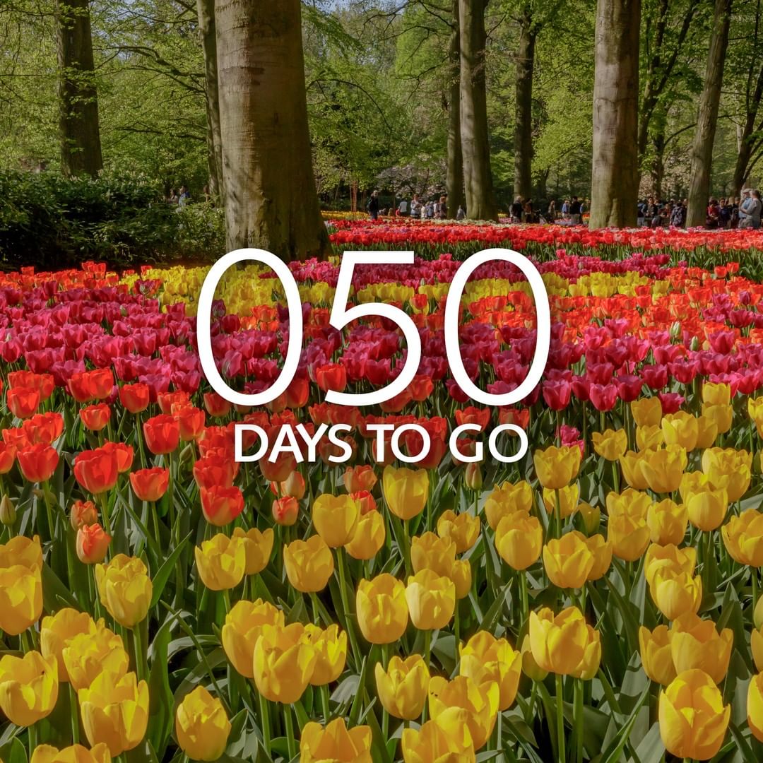 Only 50 days to go 