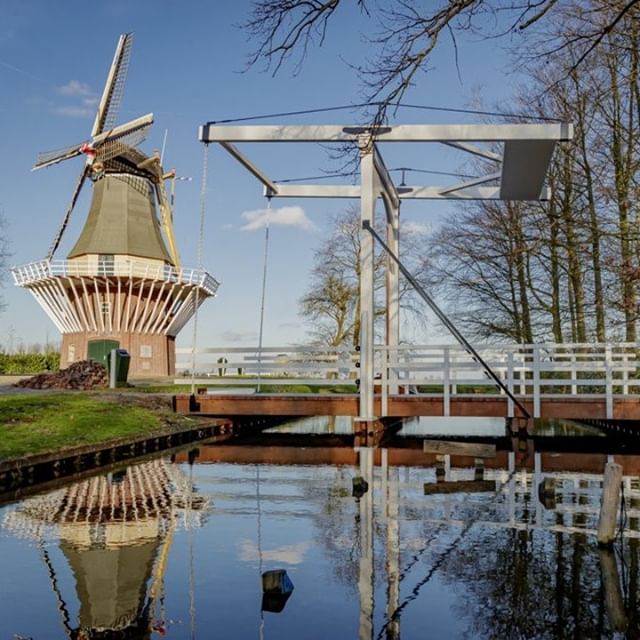 The famous bridge ne