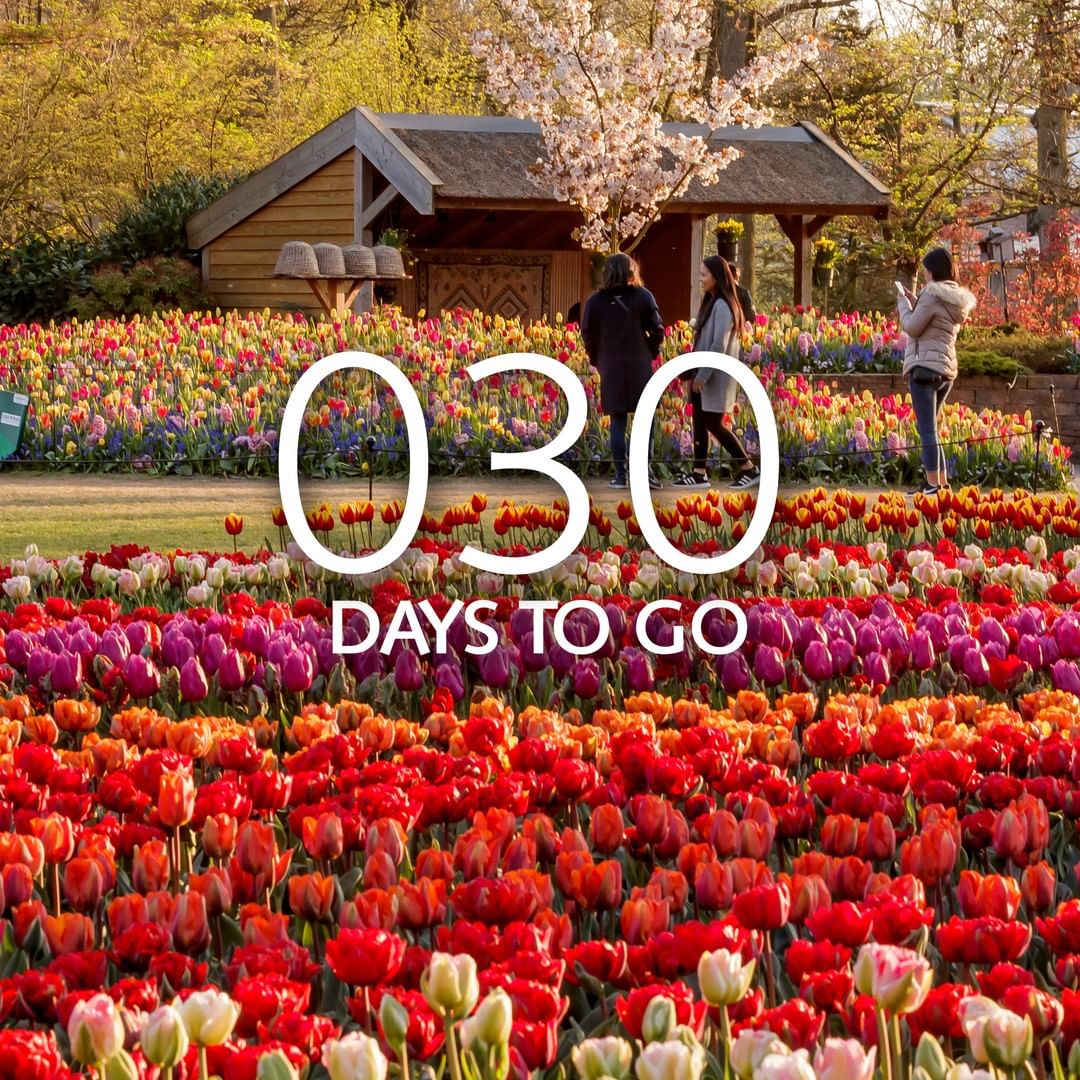 Were counting down 