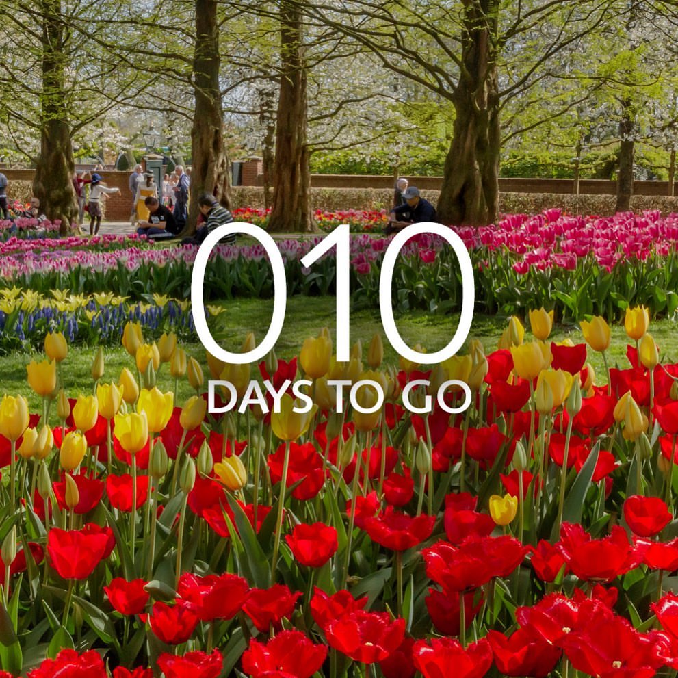 Only 10 days to go b