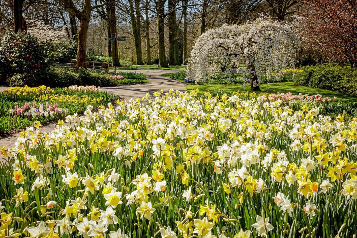 A beautiful spring d