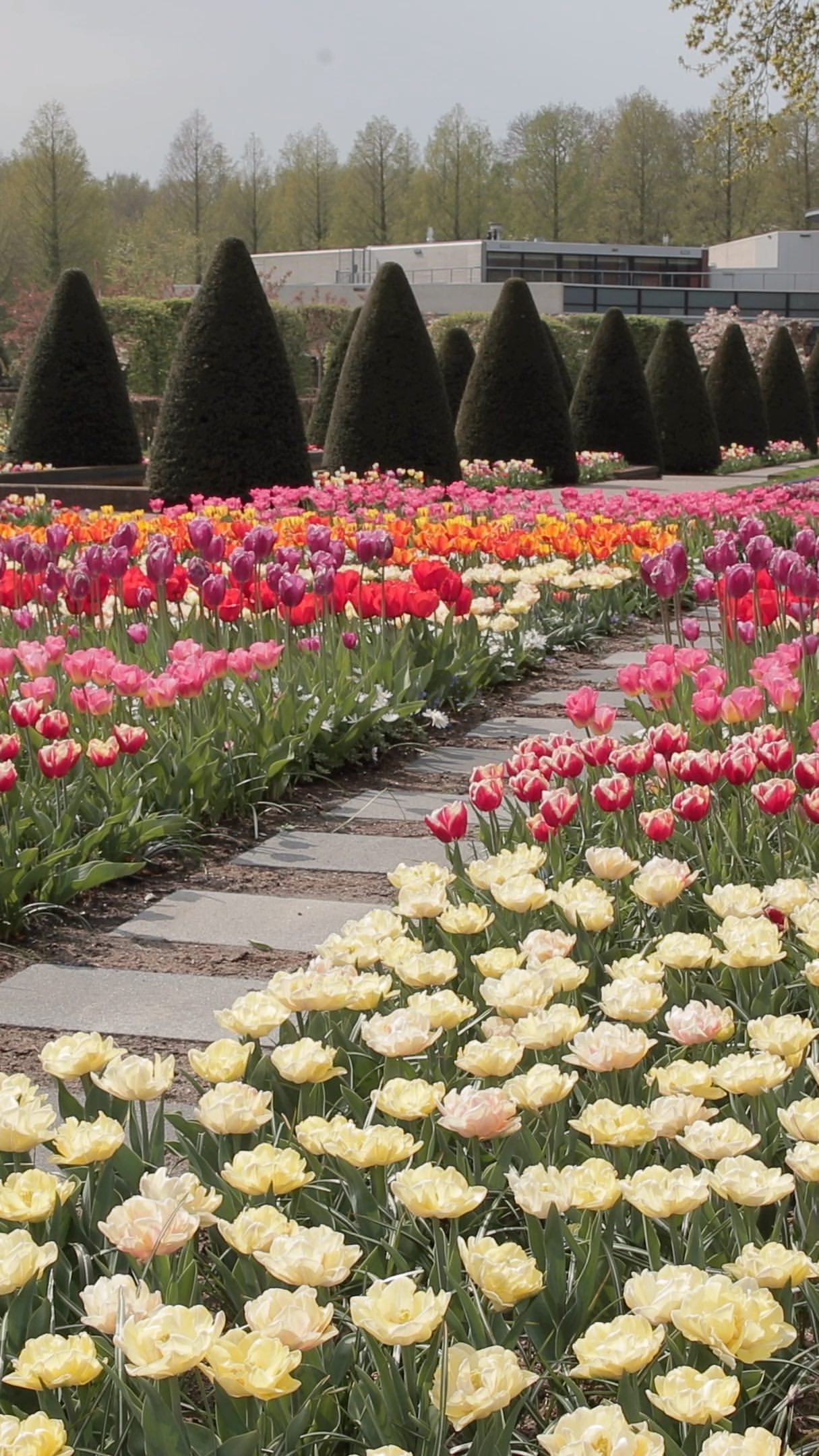 keukenhof keukenho