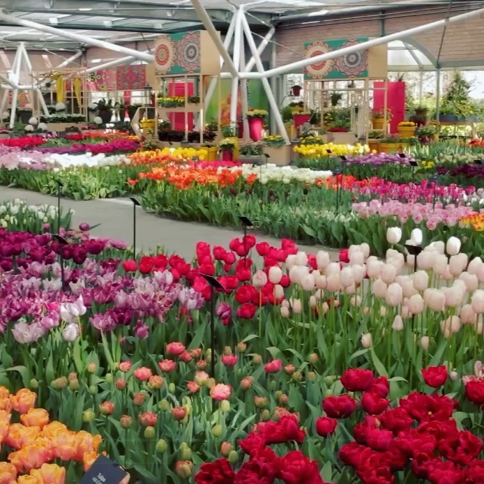 Swipe to see spring 