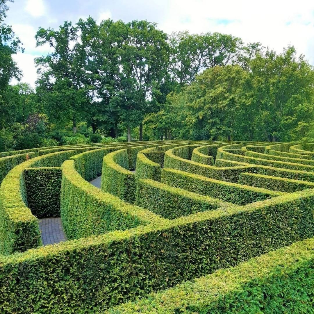 The Keukenhof maze g