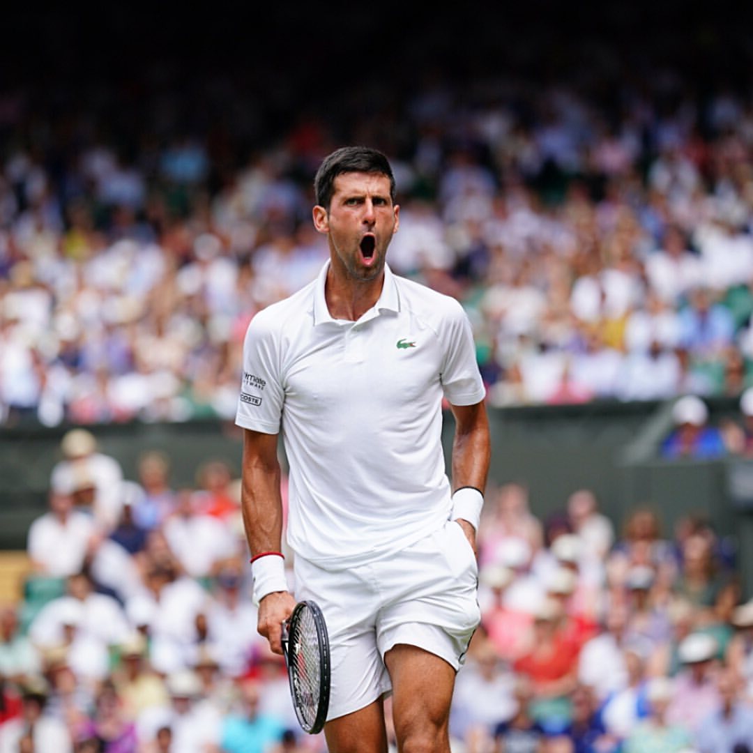 Novak Djokovic drops