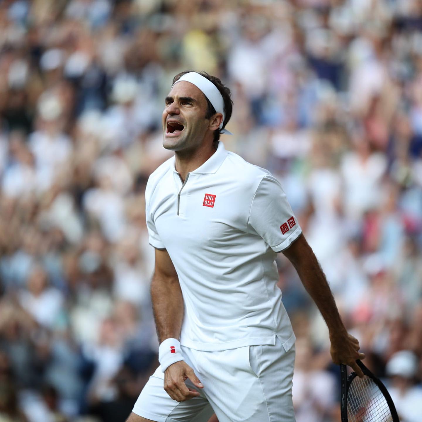 rogerfederers me