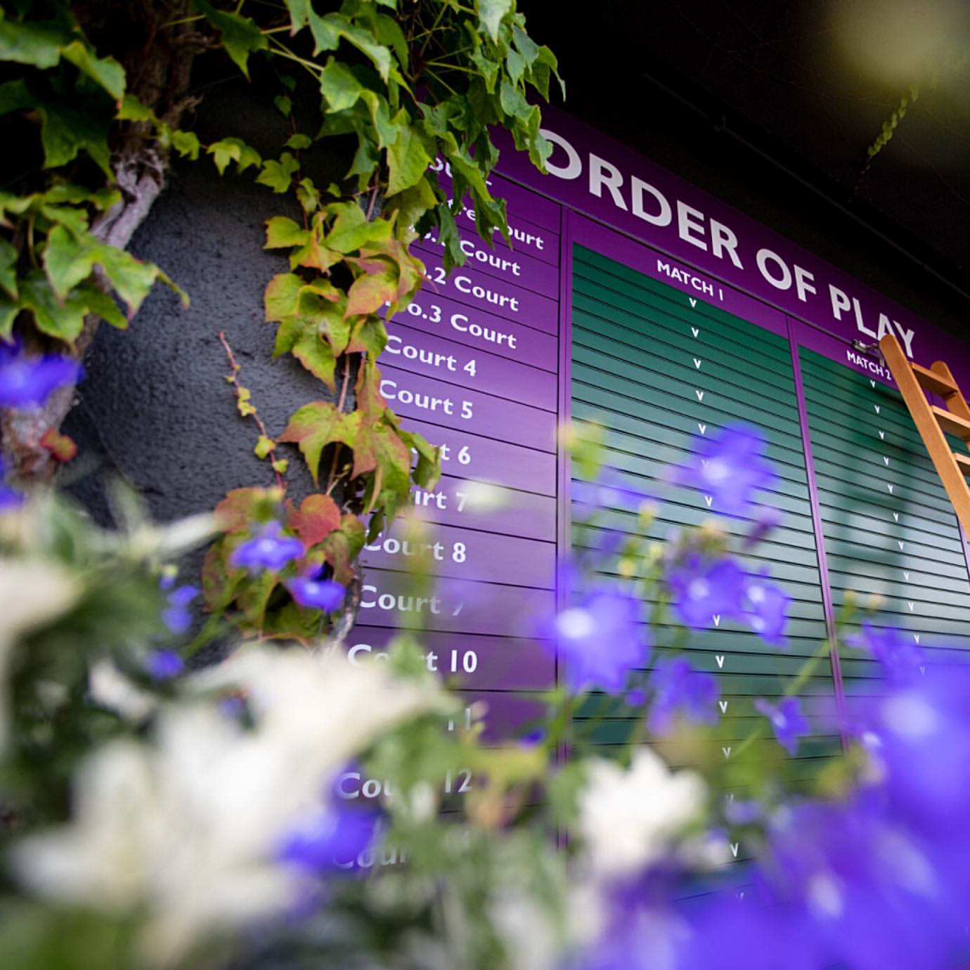  wimbledon 