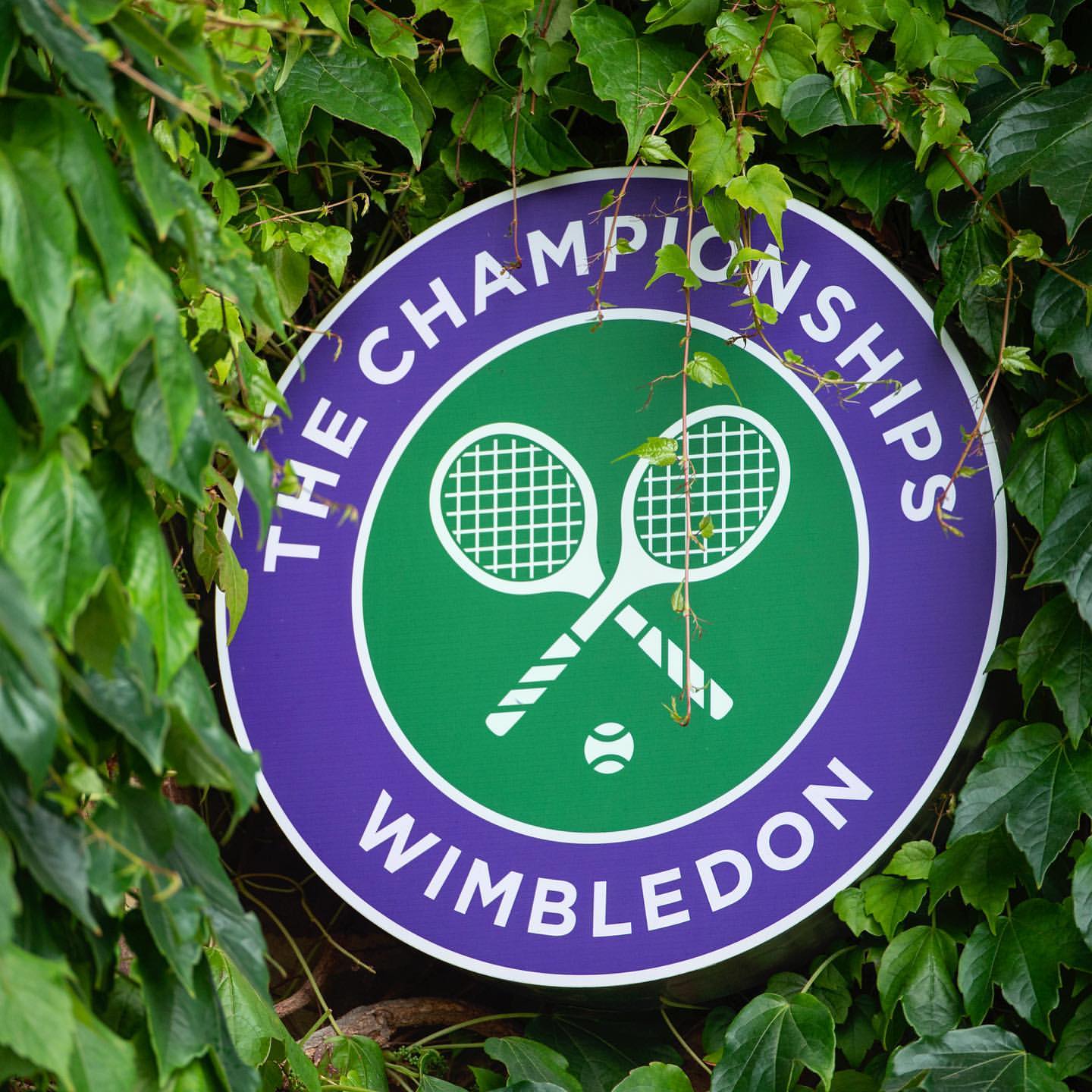 The AELTC is continu