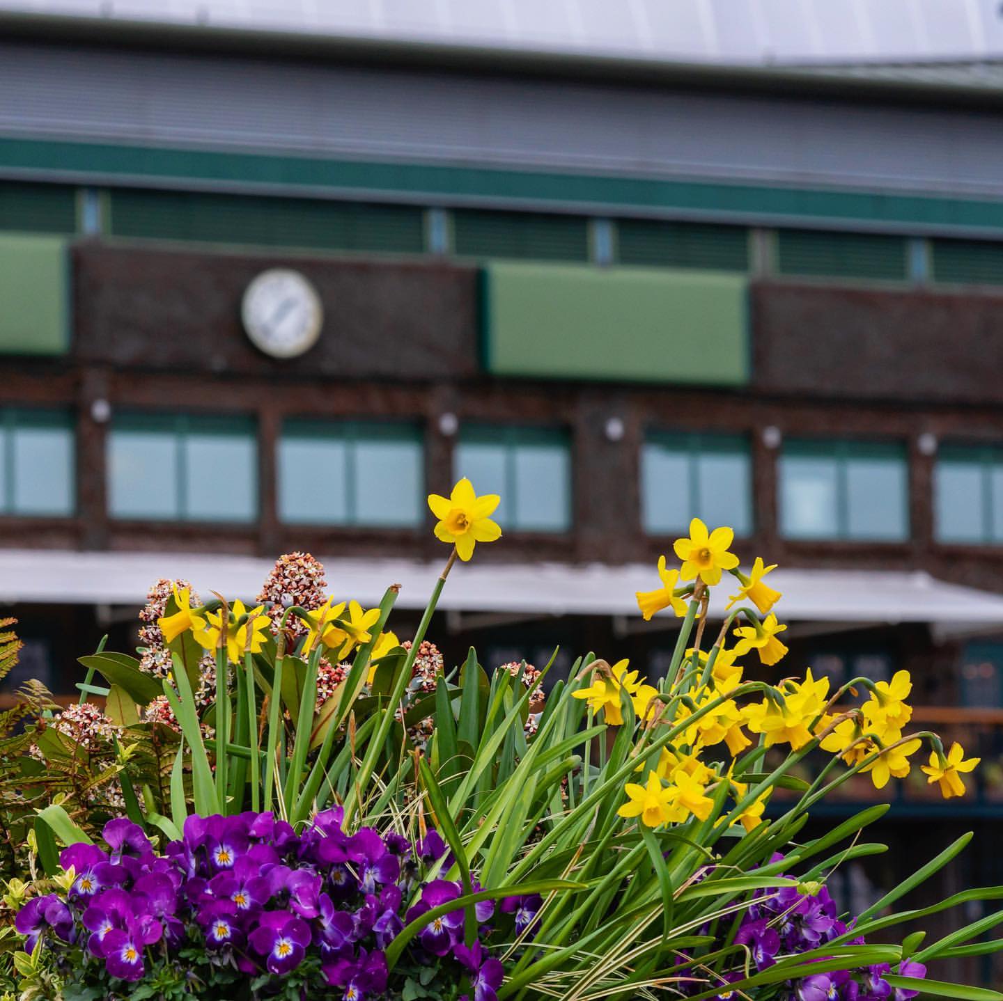 Spring has sprung 