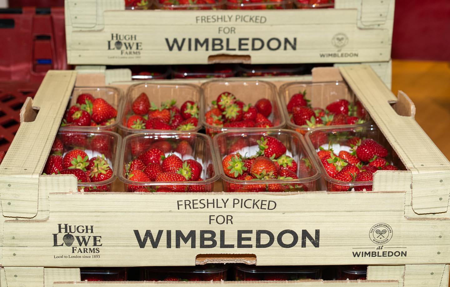 A tasty gift to sh