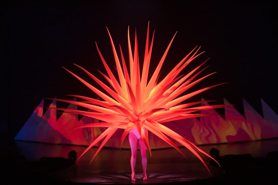 FINAL PERFORMANCES
