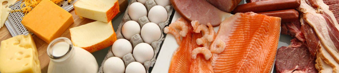 نمایشگاه دام و طیور ابوظبی (VIV MEA) banner ilikevents