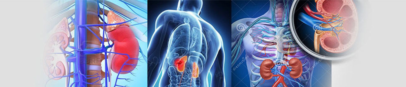 World Congress of Endourology (WCE) banner ilikevents