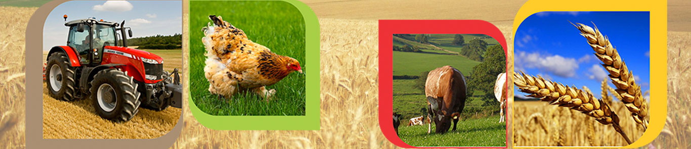 نمایشگاه کشاورزی و دامپروری قزاقستان (KazAgro / KazFarm) banner ilikevents