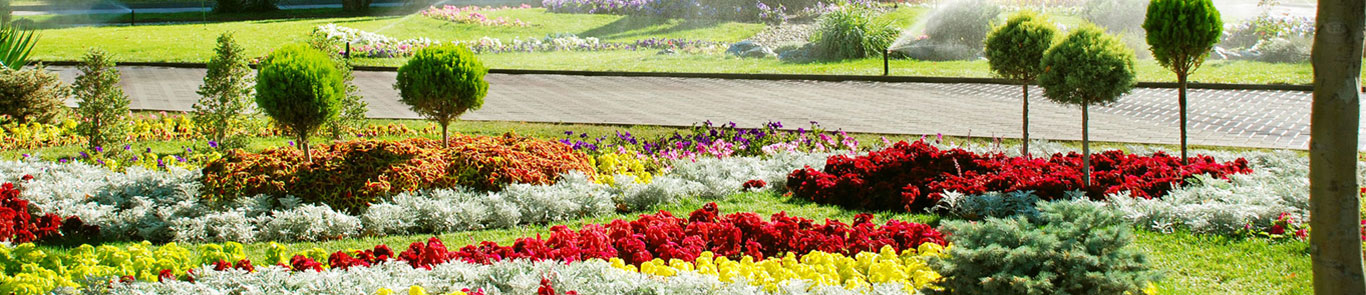 نمایشگاه گل و گیاه و فضای سبز باکو (AfuExpo) banner ilikevents