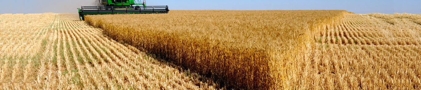 Caspian Agro banner ilikevents