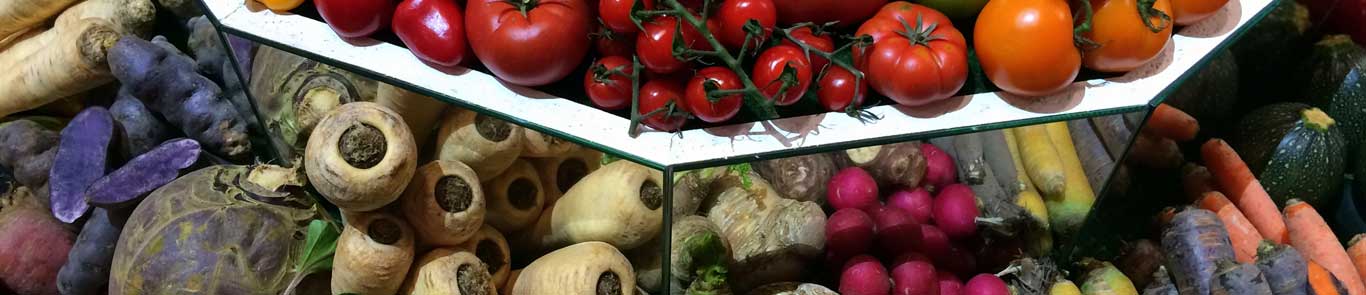 International Green Week Berlin (IGW) banner ilikevents