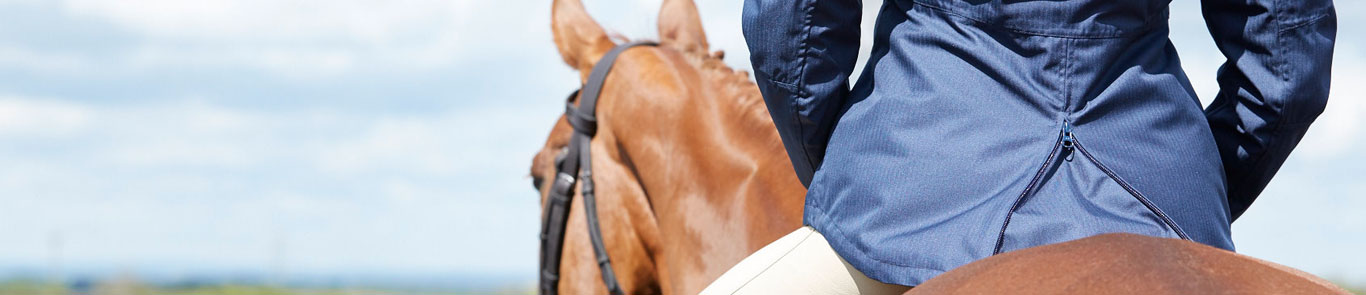 نمایشگاه اسب انگلیس (BETA) banner ilikevents