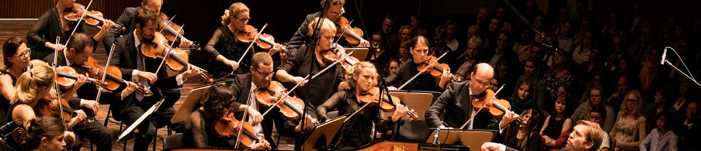 Beethovenfest Bonn banner ilikevents