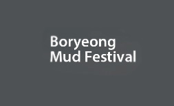 فستیوال گل بازی کره جنوبی (بوریئونگ) logo ilikevents