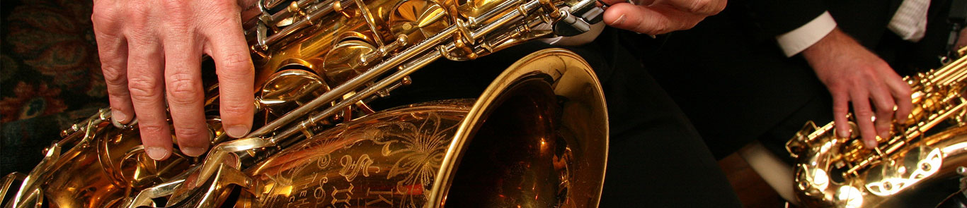 EUROPAfest banner ilikevents