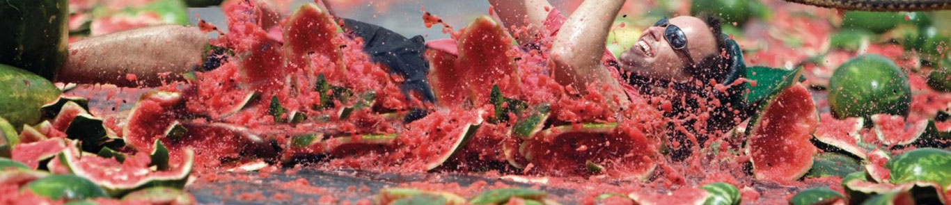 Chinchilla Melon Festival banner ilikevents