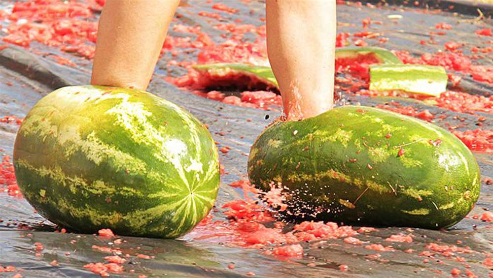 chinchilla-melon-festival.