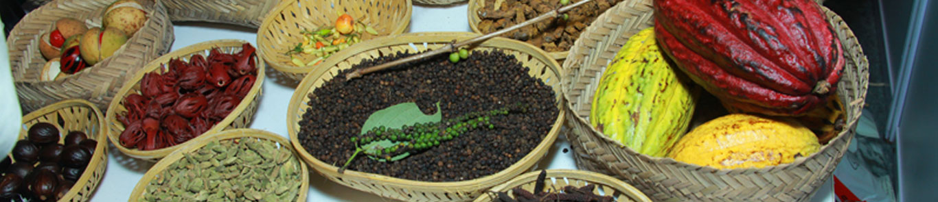 نمایشگاه مواد غذایی ارگانیک و سبز هند (Biofach) banner ilikevents