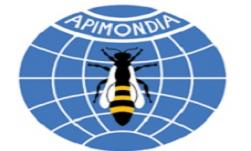 Dubai Apimondia ilikevents