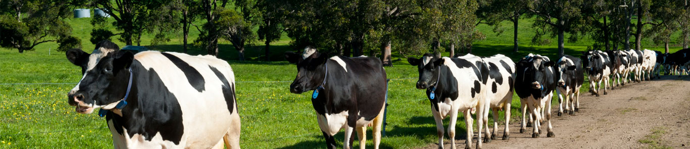 نمایشگاه دام و طیور دبی (AgraME) banner ilikevents