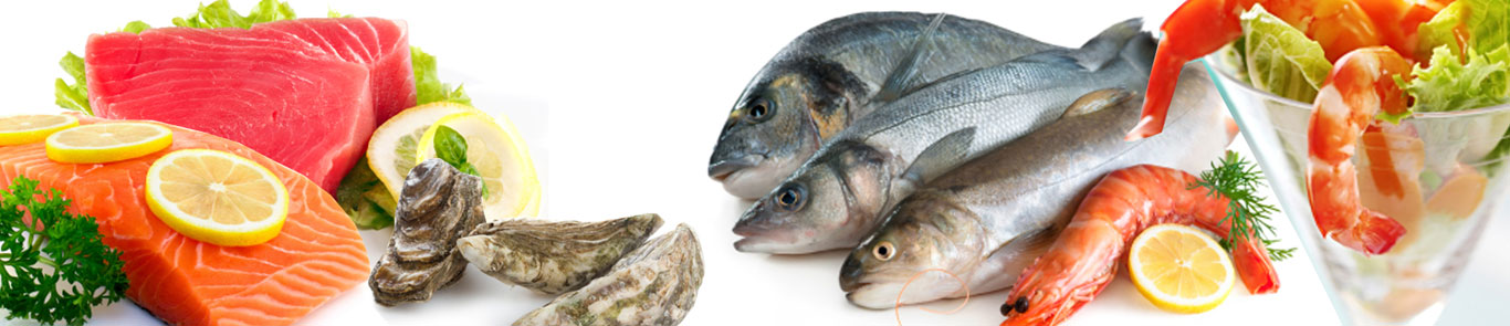 Seafex (Seafood expo Dubai) banner ilikevents