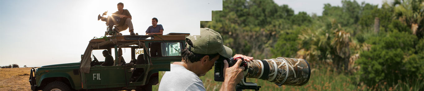 جشنواره فیلم حیات وحش سبز (GREEN SCREEN) banner ilikevents