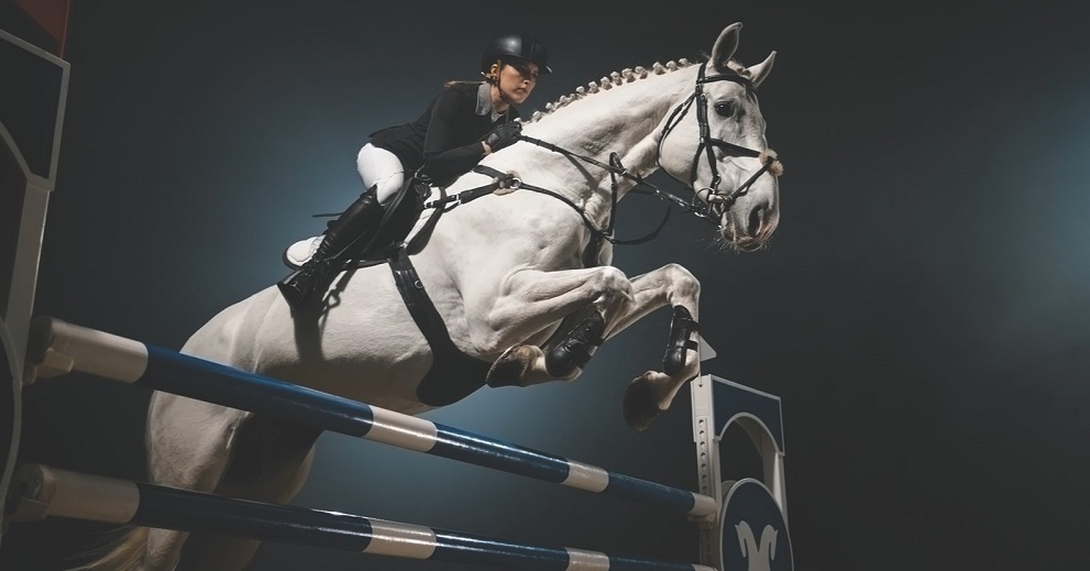 نمایشگاه اسب آلمان (equitana) banner ilikevents