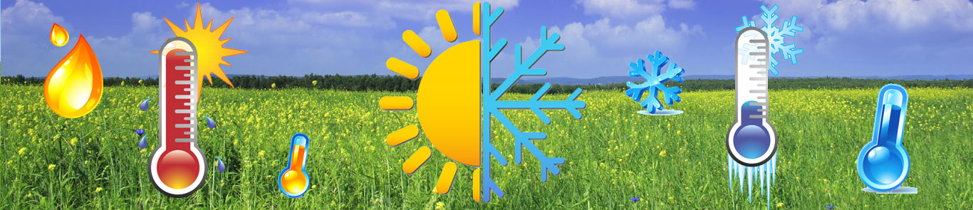 En+Eff banner ilikevents