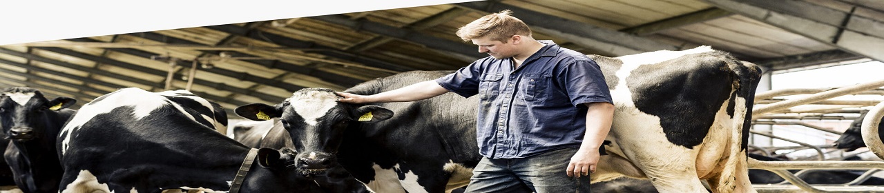 NutriFair banner ilikevents