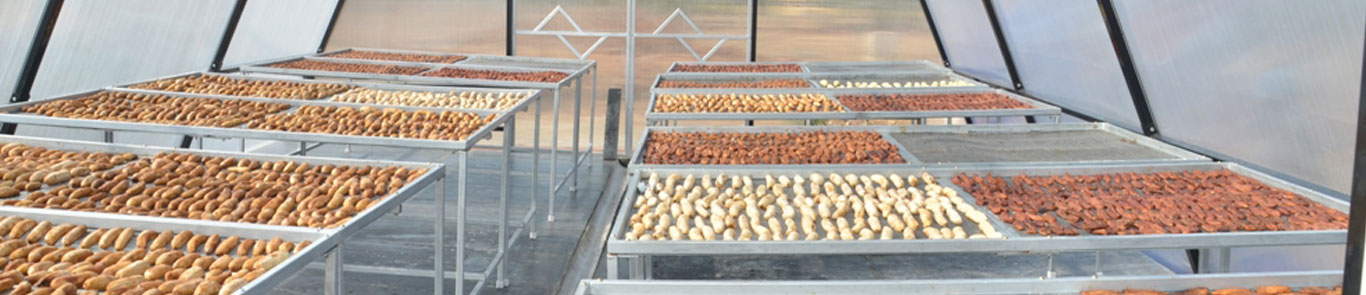 سمپوزیوم فرآیند خشک کردن در کشاورزی (IDS) banner ilikevents