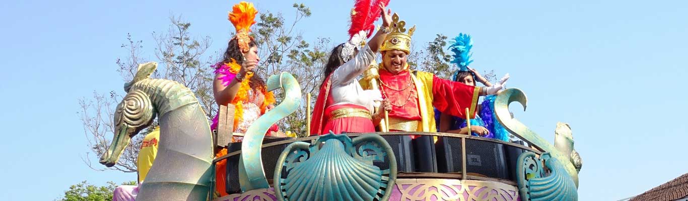 Goa Carnival banner ilikevents