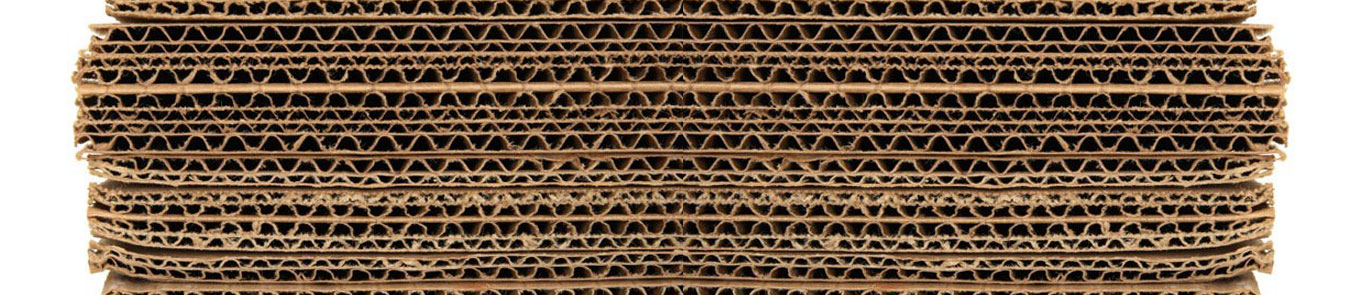 IndiaCorr Expo – SinoCorrugated banner ilikevents