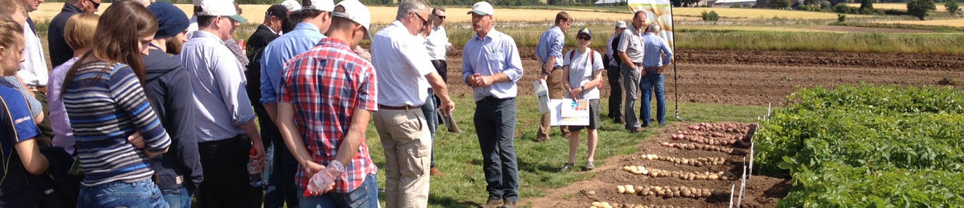 PotatoEurope  banner ilikevents