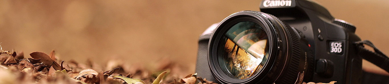 LUMIX Festival banner ilikevents