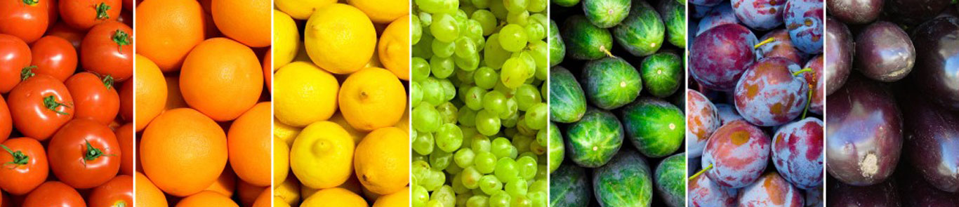 نمایشگاه محصولات ارگانیک هنگ کنگ (LOHAS Expo)  banner ilikevents